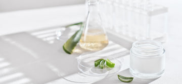 Unmasking Greenwashing: Achievements and Challenges in Pursuit of Genuine Sustainability in the Cosmetic Industry